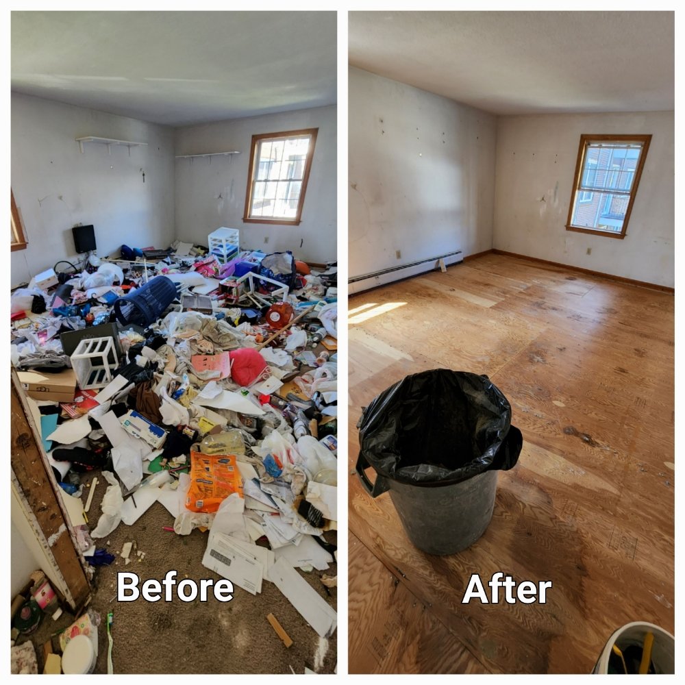 Before and After - Complete Room Cleanout - Auckland